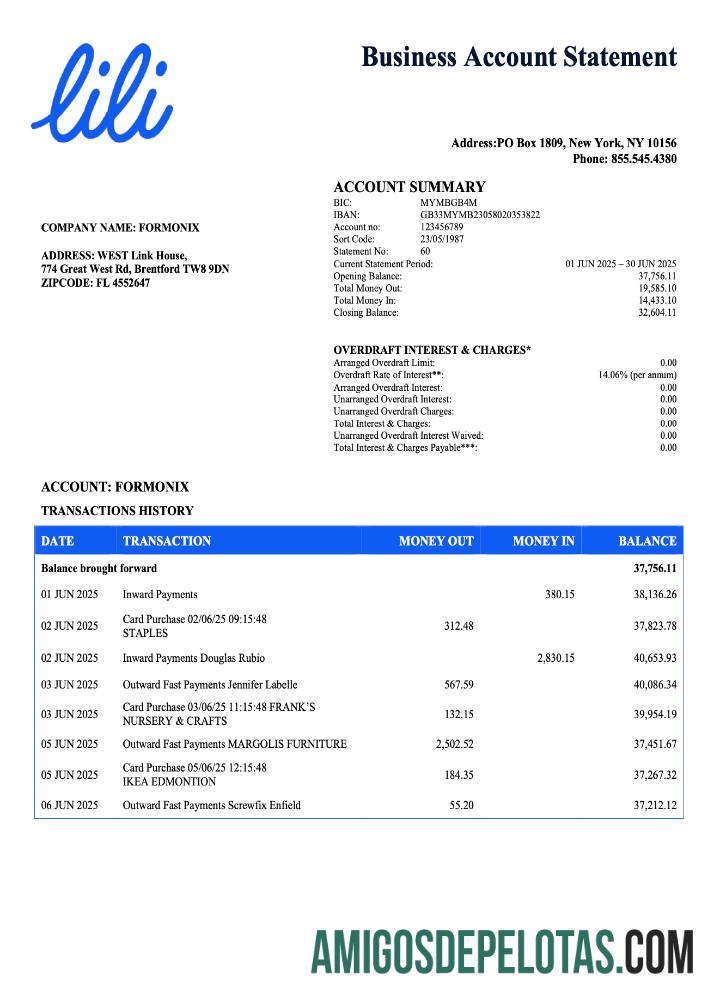 Modelo Word e PDF do extrato da conta da organização Realista USA Lili